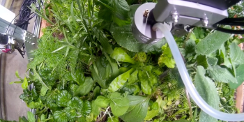 UC Berkeley robotics lab wants to fully automate a polyculture garden