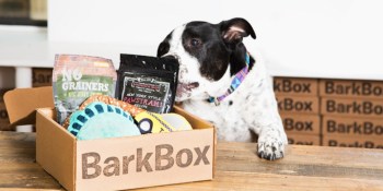 The subscription space trends you need to keep tabs on (VB Live)