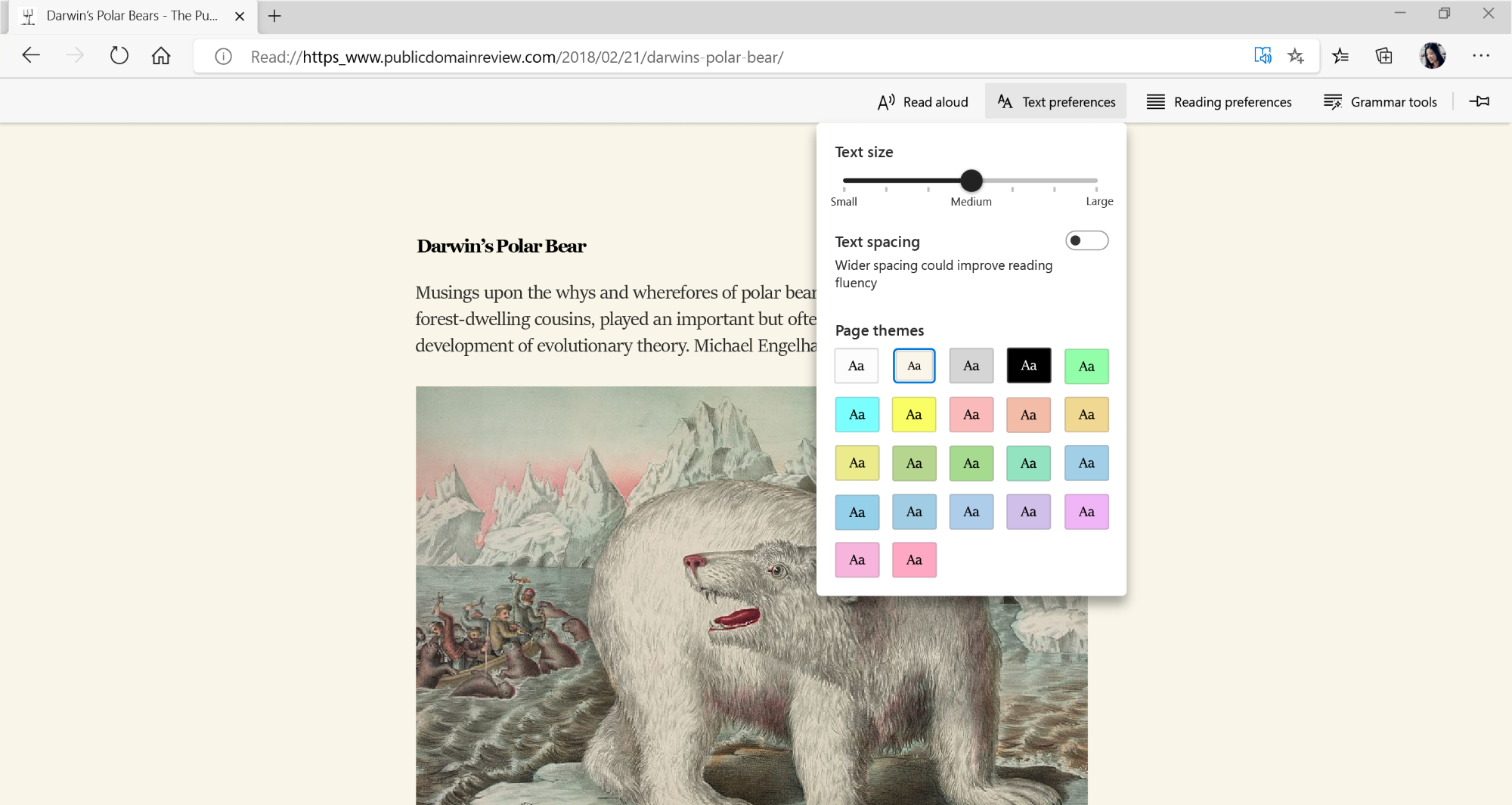 Microsoft Edge Immersive Reader feature