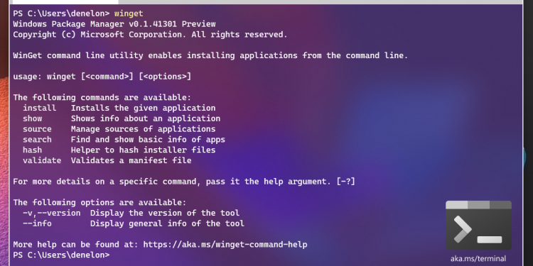 Windows Package Manager in preview