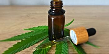 The best CBD oil for pain in 2020