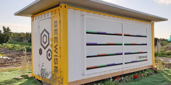 Beewise raises $10 million to automate beehive monitoring and harvesting