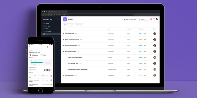 Asana Goals on deskop