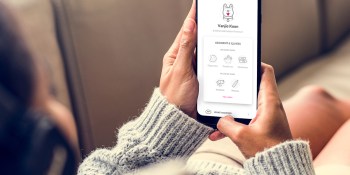 Get ahead of veterinary expenses in 2021 with pet insurance from Lemonade