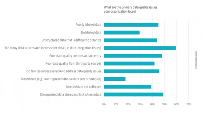 primary data quality issues