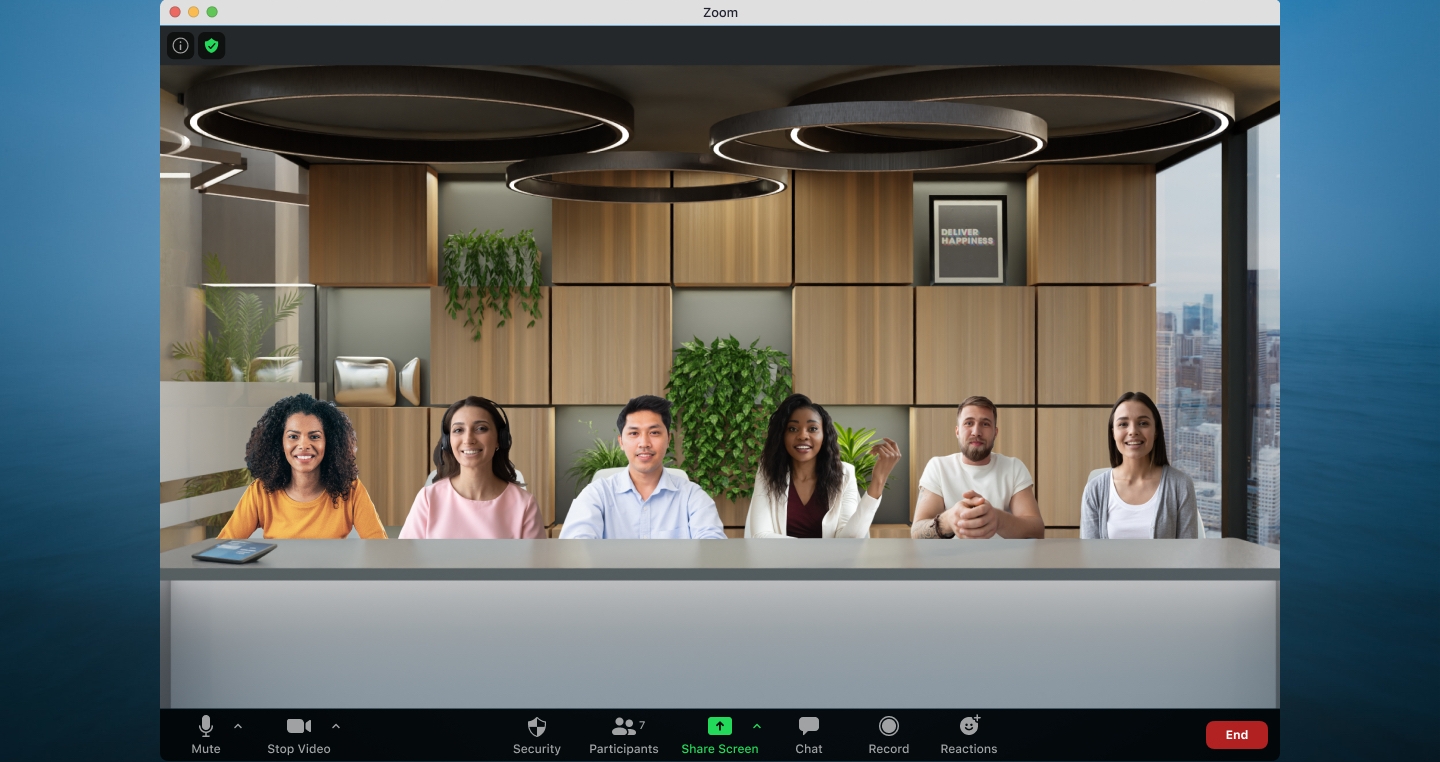 Zoom: Immersive View