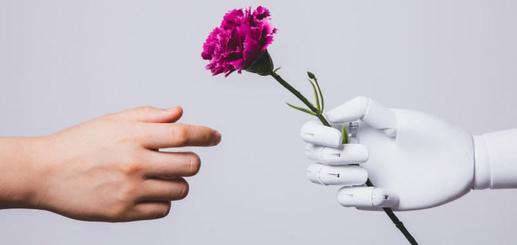 human hand reaching for carnation flower in robotic hand