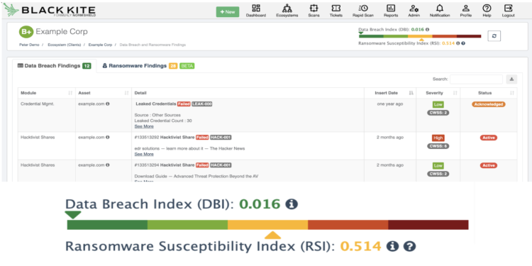 Black Kite Ransomware Susceptibility Index
