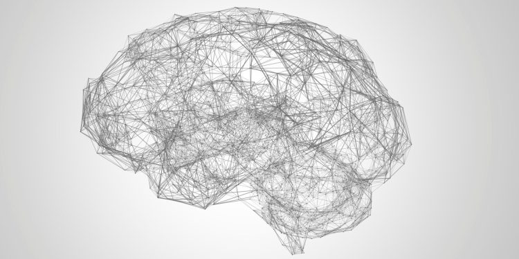 Brain neural network
