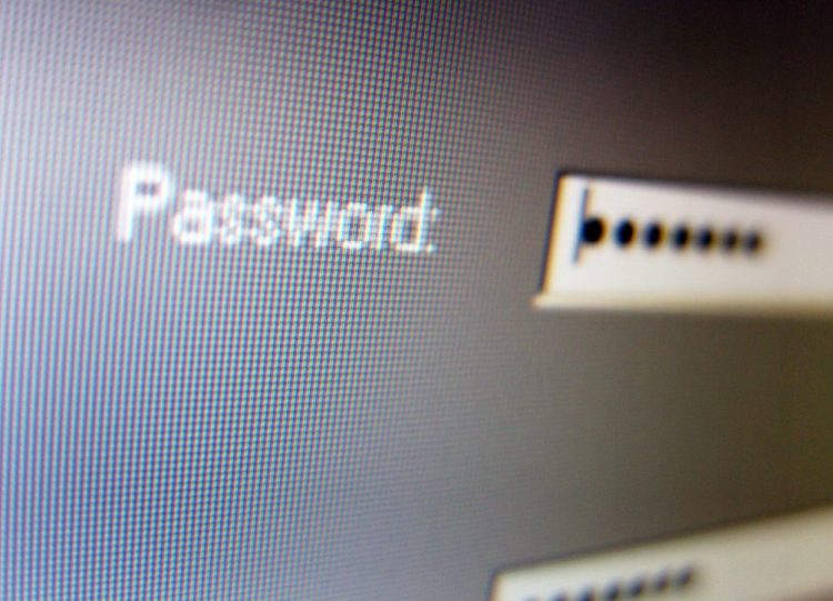 Password entry screen on computer screen.