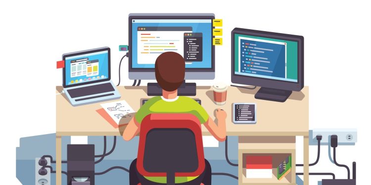 Professional programmer / software developer / open source