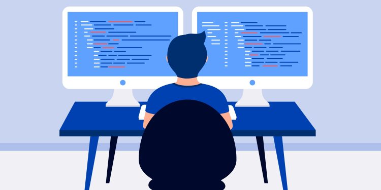 Software developer