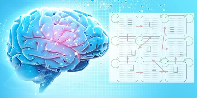 Research in the brain