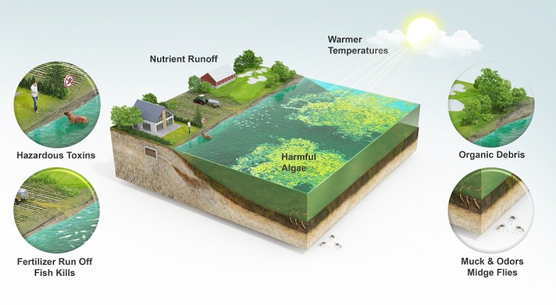 The problem for agriculture and aquaculture.