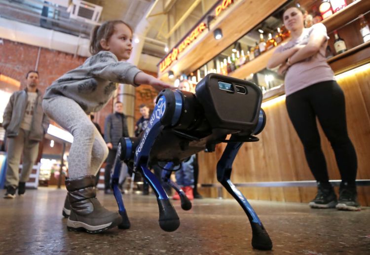 MOSCOW, RUSSIA - MARCH 14, 2021: A child approaches an A1 robot dog by Unitree Robotics during a presentation event at Depo Moscow Food Mall. Unitree Robotics is a China-based start-up company that develops and manufactures quadruped robots. Robot dogs are designed to help patrol and explore areas, render maps, and fulfil logistic and research objectives. They can also be kept at home as ordinary pets. Valery Sharifulin/TASSEDITORIAL USE ONLY; NO COMMERCIAL USE; NO ADVERTISING (Photo by Valery SharifulinTASS via Getty Images)