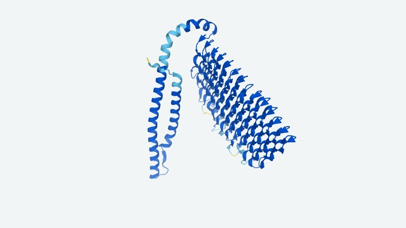 DeepMind AlphaFold 2 database