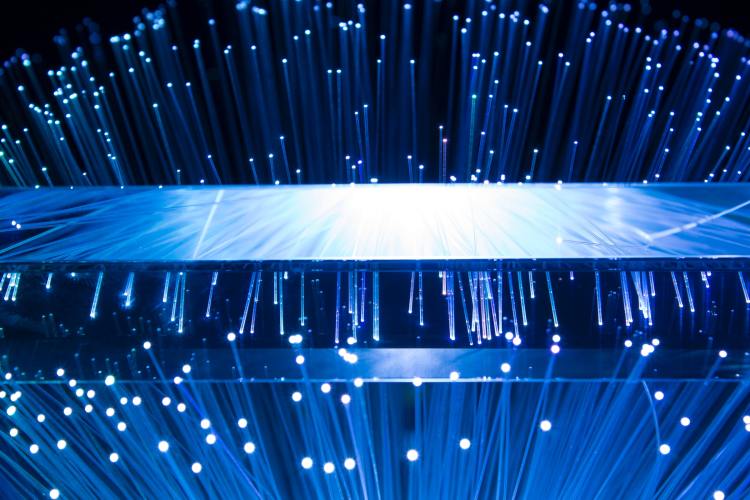 Fiber optic tree viewed through a prism