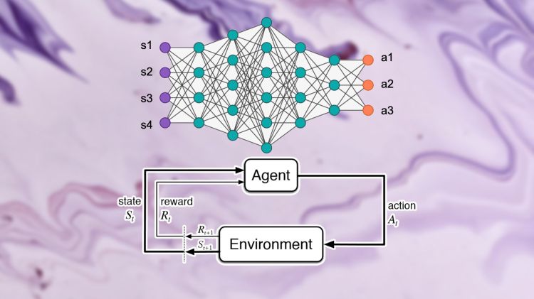 Graphic depicting the deep reinforcement learning process