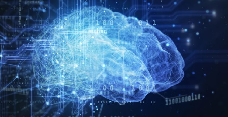 Artificial Intelligence brain is divided in two parts, cell and networking form.