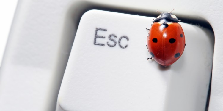 Ladybug on escape key