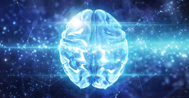 IP concept: Close up of artificial intelligence brain and digital data.