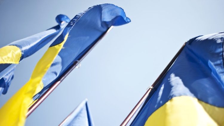 Image taken at the Presidential Administration Building in Kiev city. These flags were part of a display for the Flag day and Independence say celebrations.