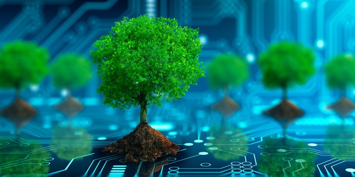 Tree with soil growing on the converging point of computer circuit board. Sustainability in the supply chain concept.