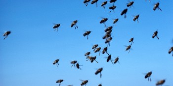 HPE looks to deliver the power of ‘swarm learning’