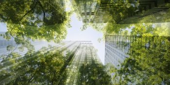 Report: Sustainability is a top 10 priority for CEOs this year