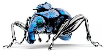 What technical leaders can learn from my experience with a $500,000 bug