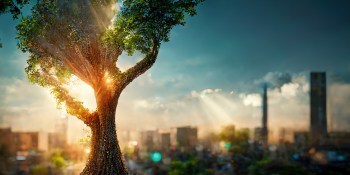 Big data could help deliver sustainability in Web3