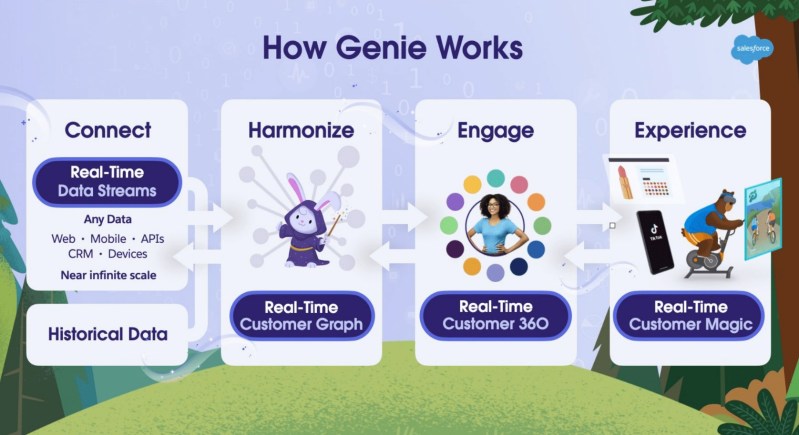 Salesforce Genie