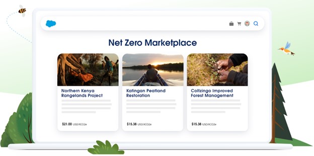 Net zero marketplace