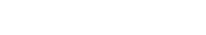 VB Special Issue logo