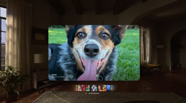 Screenshot showing a phot of a dog through the Apple Vision Pro headset.