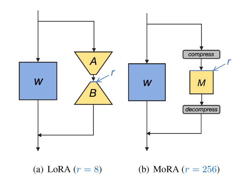 LoRA vs MoRA