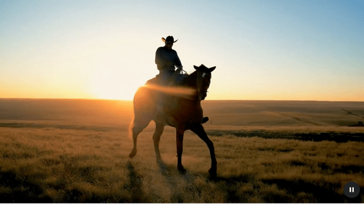 Frame from a video of a cowboy riding a horse made with Google's Veo AI video generation model.