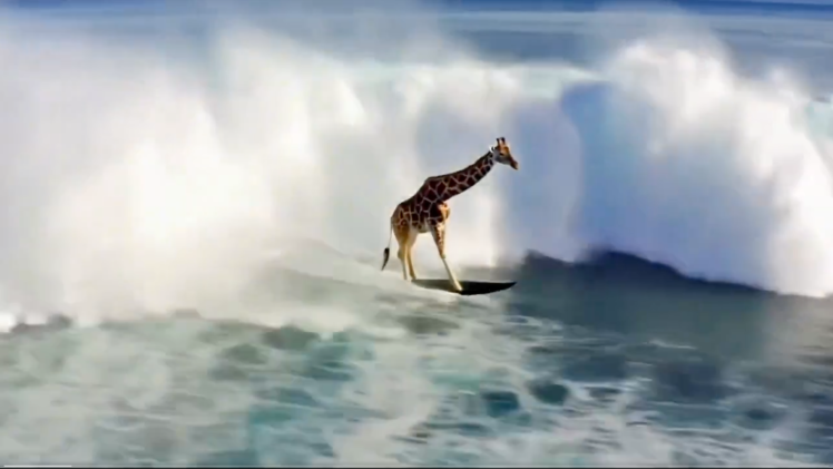 Screenshot of AI video of surfing giraffe